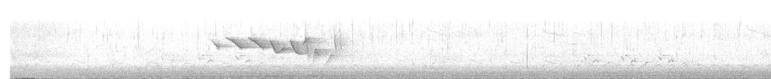 Paruline hochequeue - ML557281281