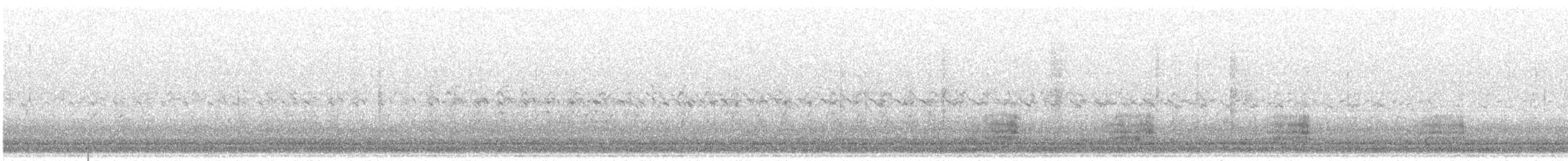 Mallard/American Black Duck - ML557297011
