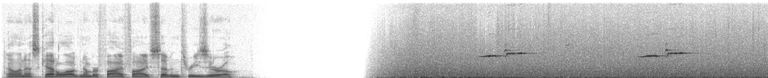 Дрізд-короткодзьоб сірий [група fuscater] - ML55730