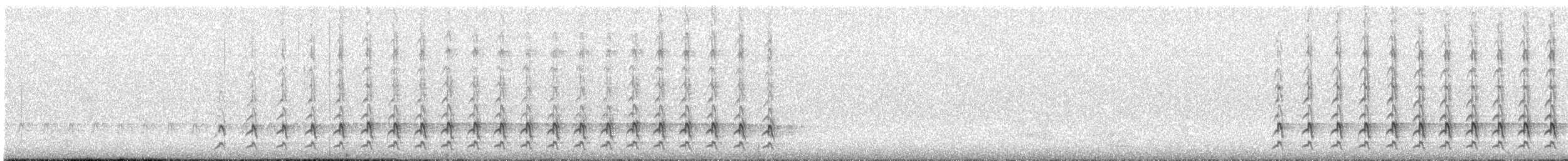 Northern Flicker (Red-shafted) - ML557327281