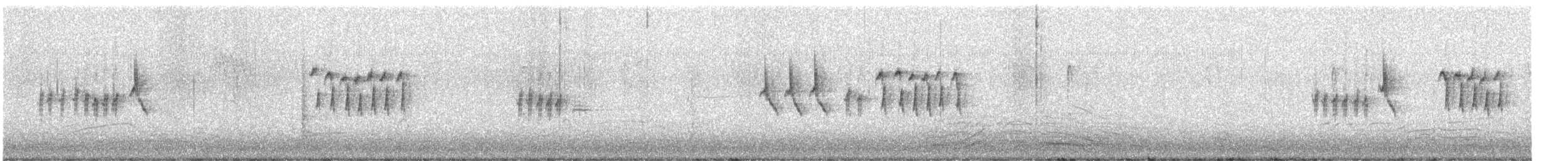 Dark-eyed Junco (Slate-colored) - ML557337731