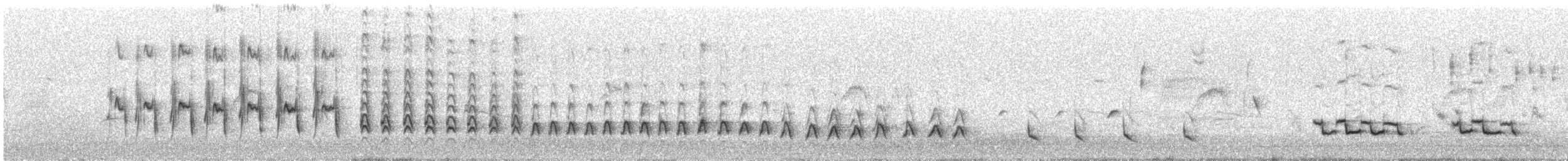 Moqueur polyglotte - ML557344871