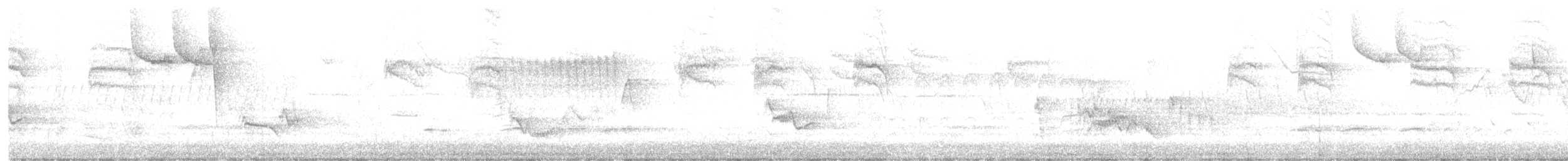 zelenáček žlutoprsý - ML557368141
