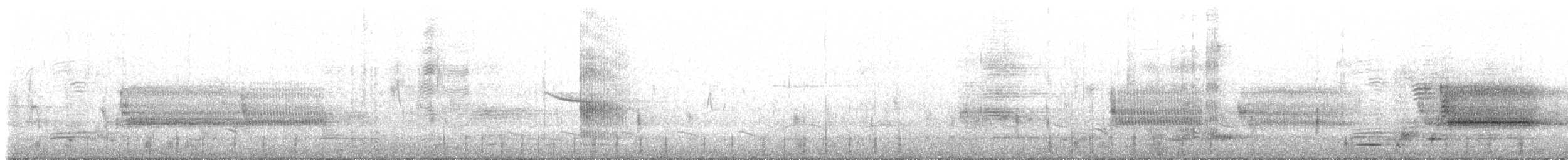 morčák velký (ssp. americanus) - ML557384071