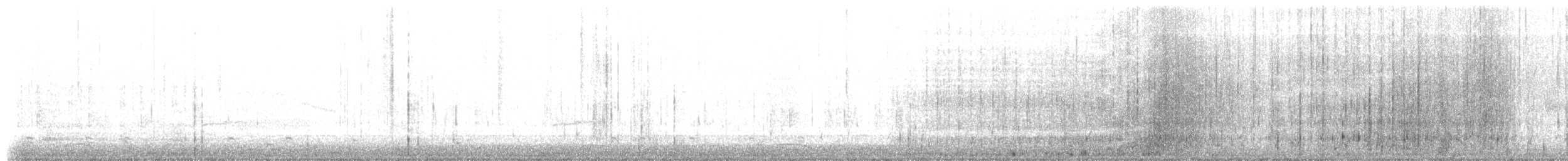 Американская лысуха (Red-shielded) - ML557386841