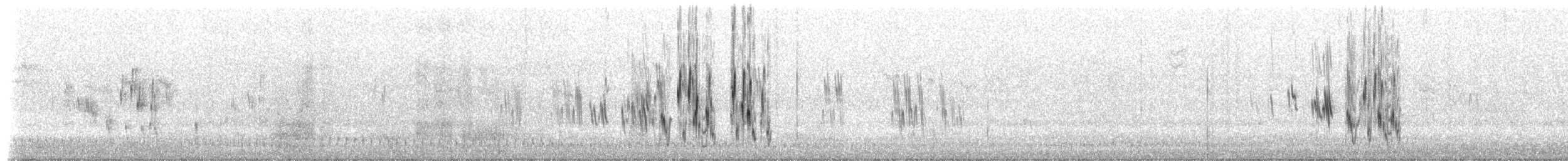 Hirondelle bicolore - ML557388721