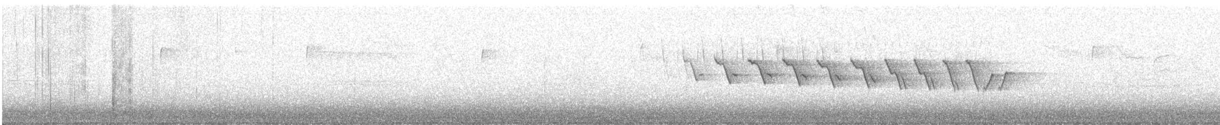 Yellow-throated Warbler - ML557393571