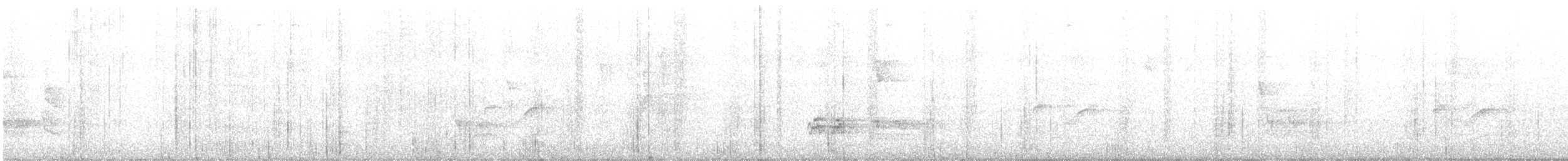 Küstenkordilleren-Kleintyrann - ML557399581