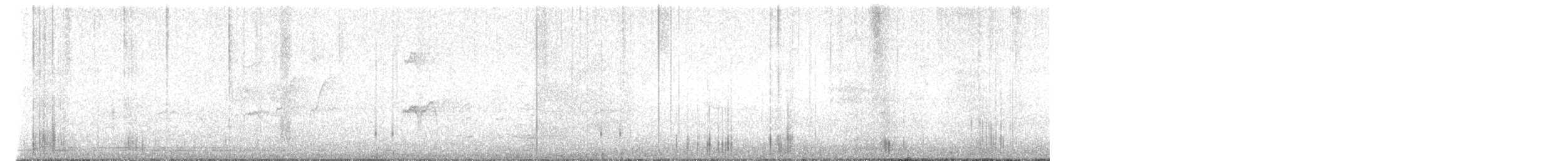 vrána/krkavec sp. - ML557424091