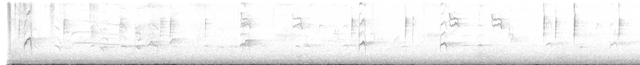 vrána/krkavec sp. - ML557424131