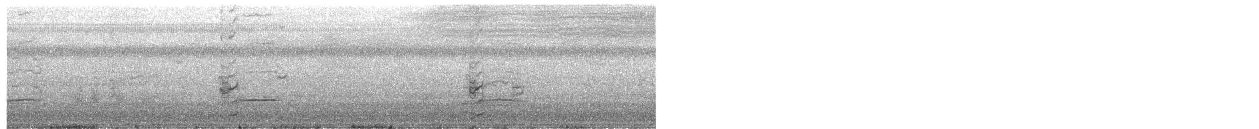 Common Gallinule - ML557449831