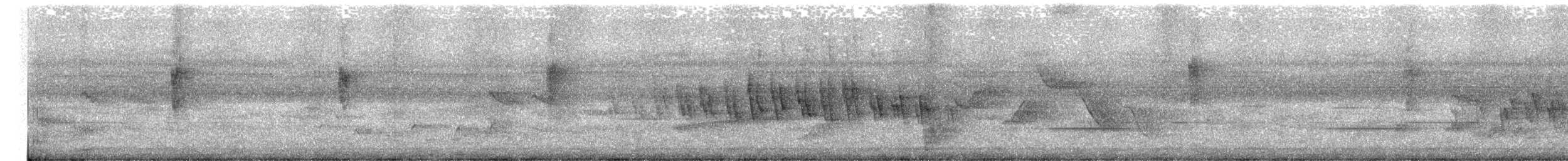 極北柳鶯 - ML557520281