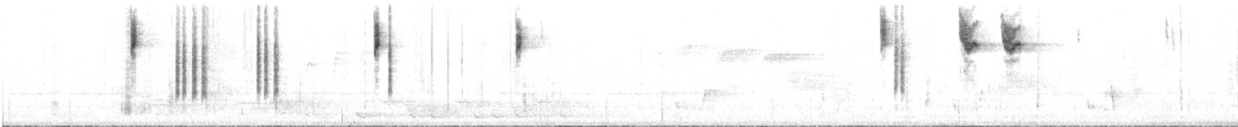 White-browed Scrubwren - ML557549301
