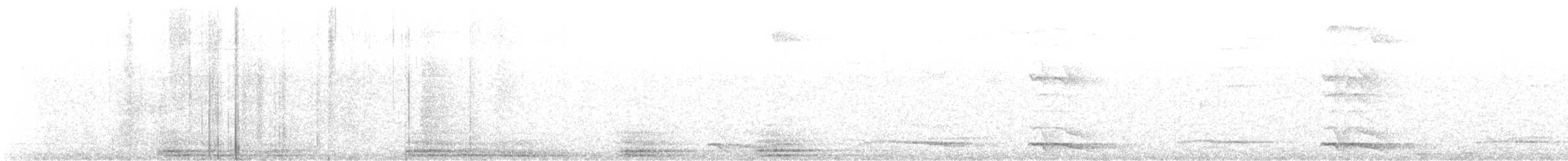 オジロカザリキヌバネドリ - ML557571501