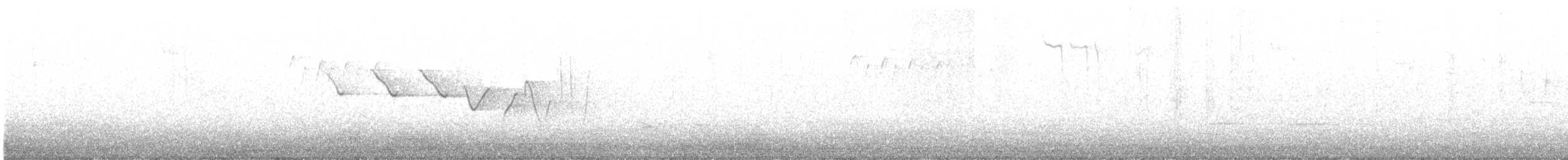 Трясогузковый певун - ML557571851