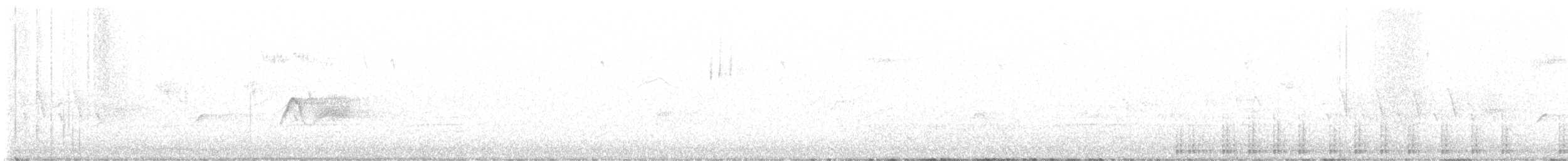 Желтобрюхий дятел-сокоед - ML557572581