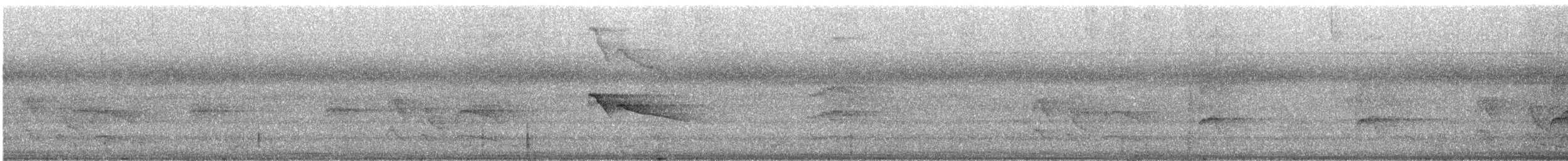 Plumbeous Kite - ML557601261