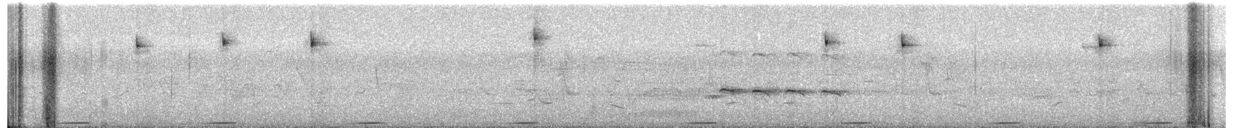 holoubek hnědoprsý - ML557660111