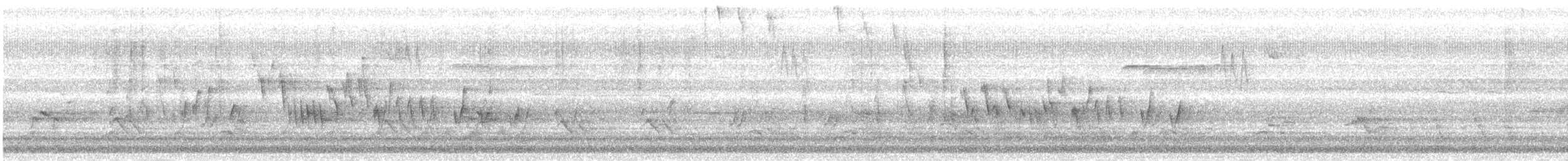 Northern House Wren - ML557667371