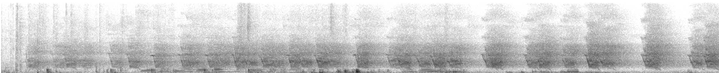 Mealy Amazon - ML557667561