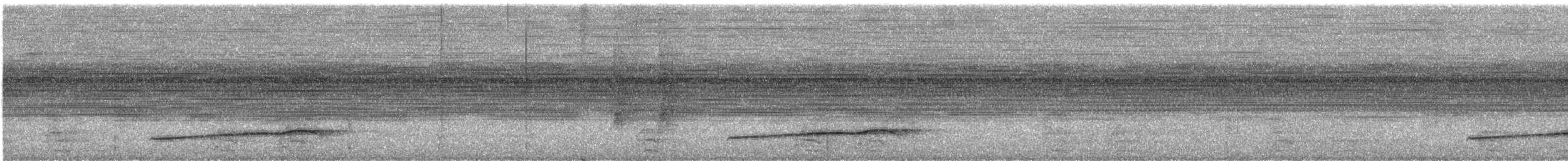Тиран-плоскодзьоб рудохвостий - ML557692871