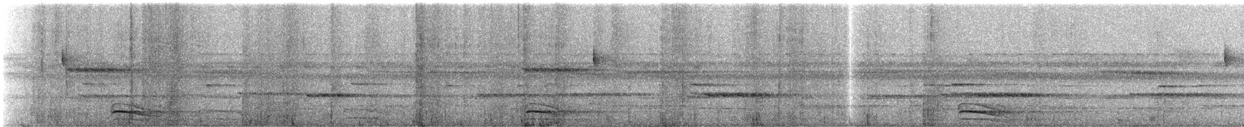 Collared Forest-Falcon - ML557713311