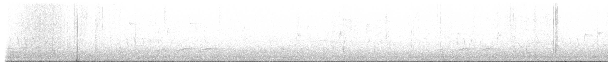 Broad-winged Hawk - ML557713491