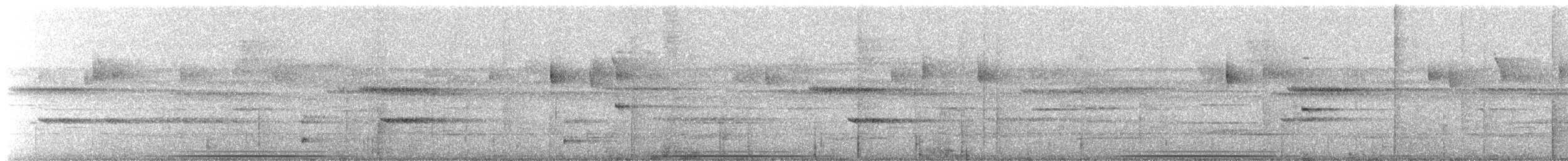 Ruddy Quail-Dove - ML557716531