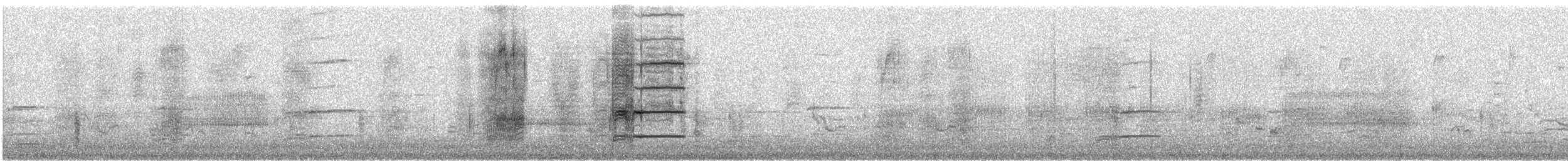 Common Grackle - ML557747671