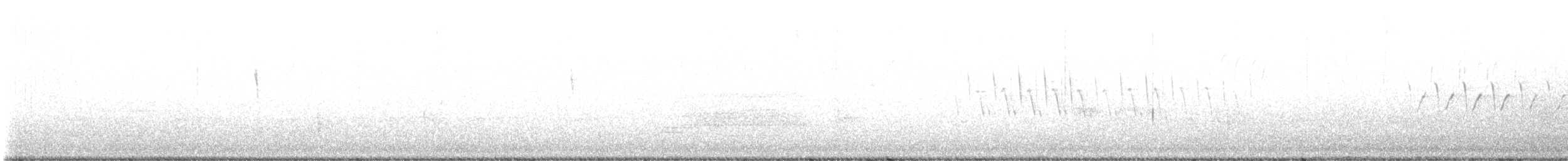 Bataklık Serçesi - ML557755231