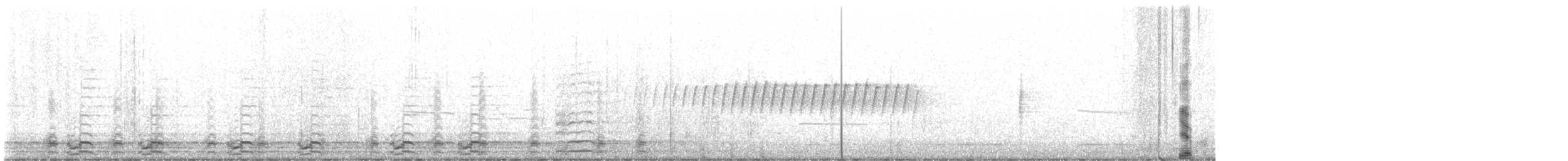 Pine Warbler - ML557782871