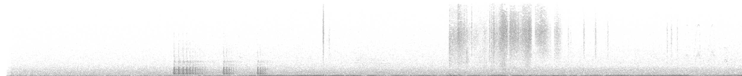 Kiefernsaftlecker - ML557788501