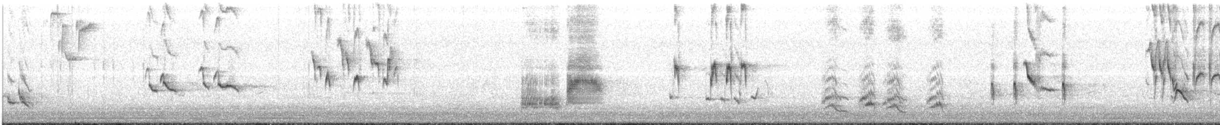 Brown Thrasher - ML557802701