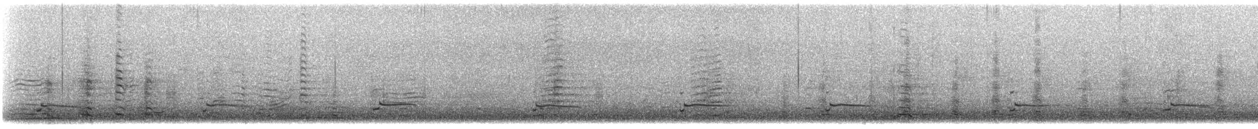 Делавэрская чайка - ML557855221