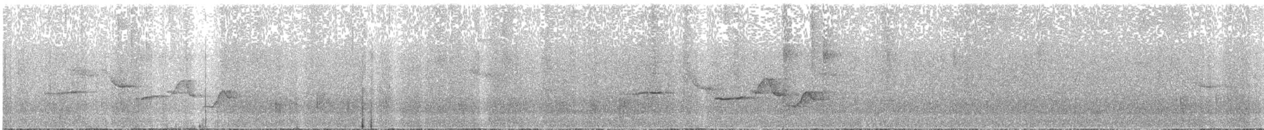 Поплітник плямистий - ML557871401