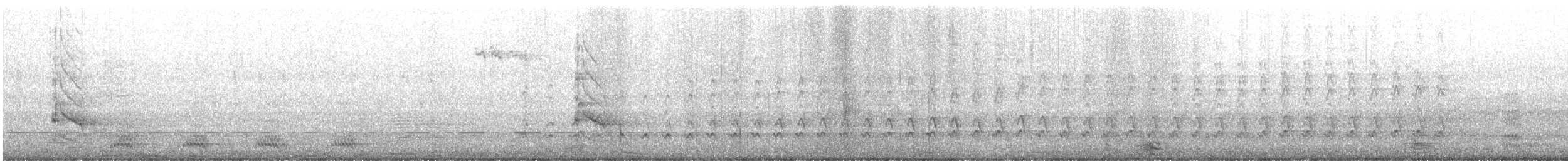 Northern Flicker - ML557896781