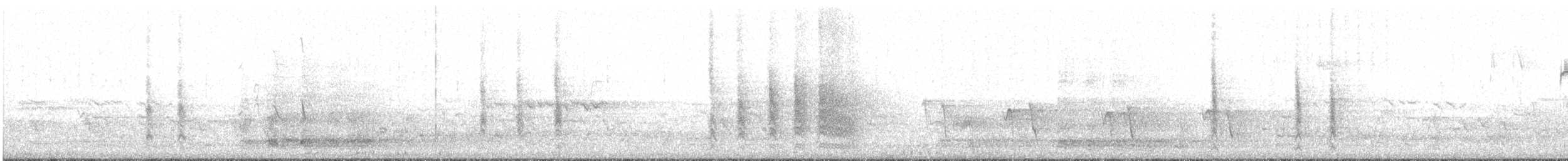 Goldbauchschnäpper - ML557921951