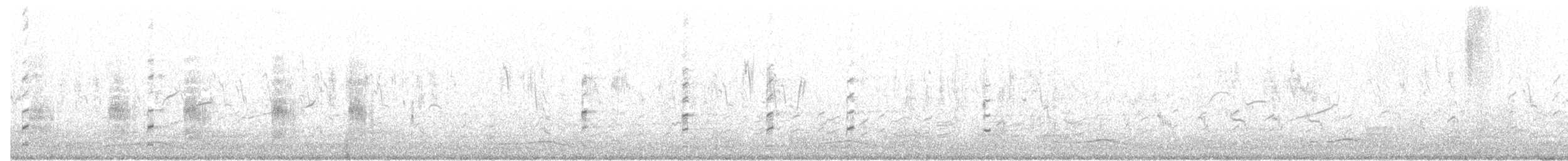 Weißbart-Seeschwalbe - ML557923081