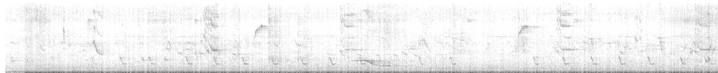 Pin-striped Tit-Babbler - ML557940611