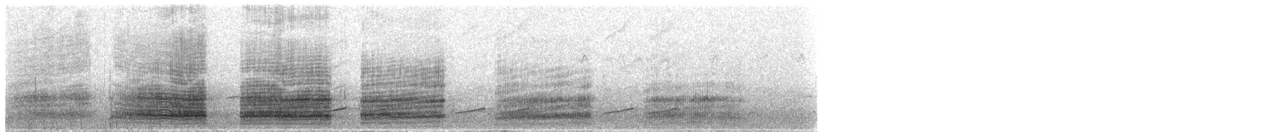 White-faced Heron - ML55794591