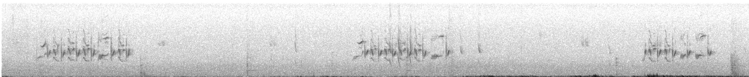 Кропив'янка балеарська - ML557957671