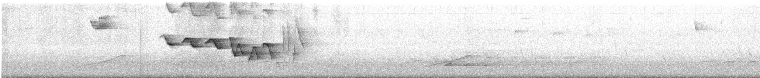 Трясогузковый певун - ML557976891
