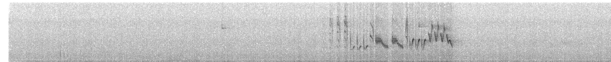 Northern House Wren - ML558021511