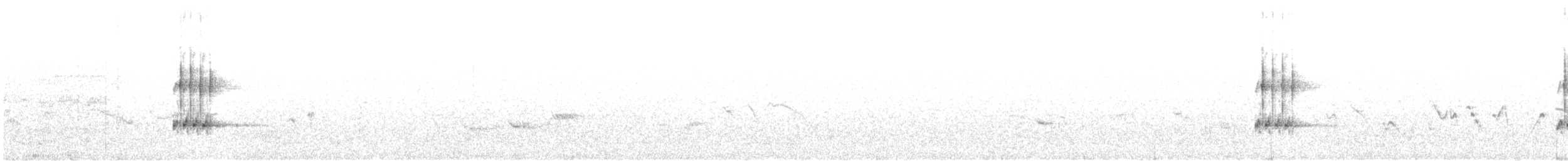 Great Gray Shrike (Arabian) - ML558049691
