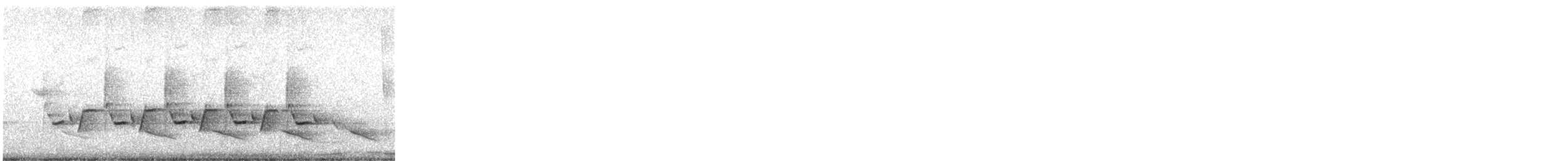 střízlík karolínský - ML558081361