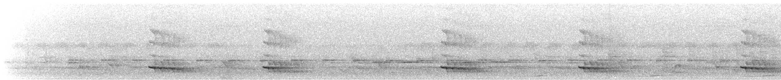 Ошейниковый зимородок - ML558085041