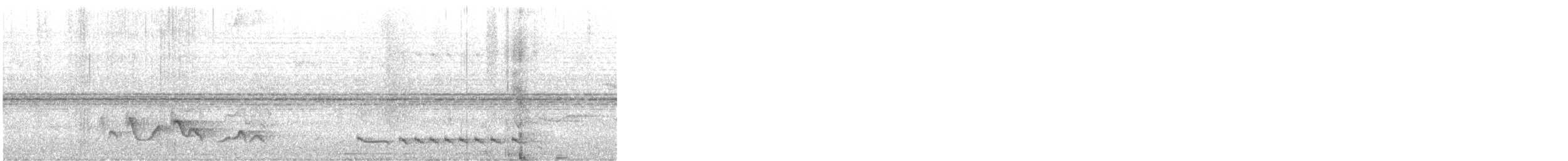 Lance-tailed Manakin - ML558086671