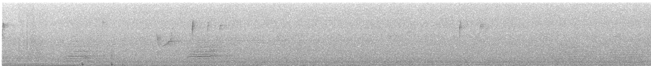 Forest Elaenia - ML558093721