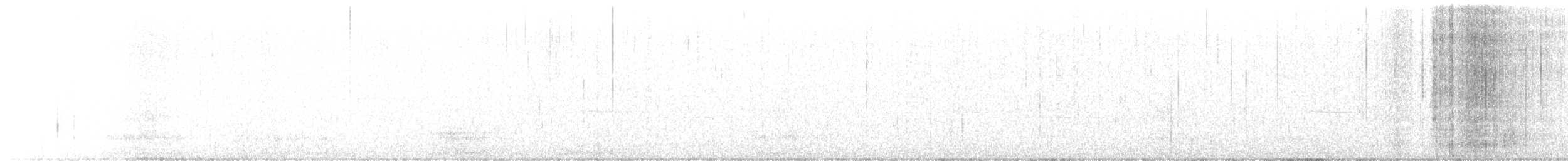 hvitbrynsvartspett - ML558133361