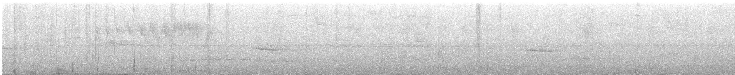 Troglodyte siffleur - ML558144431